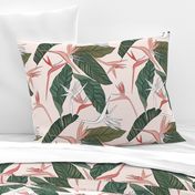 Bird of Paradise floral in pink