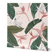 Bird of Paradise floral in pink