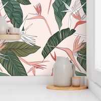 Bird of Paradise floral in pink