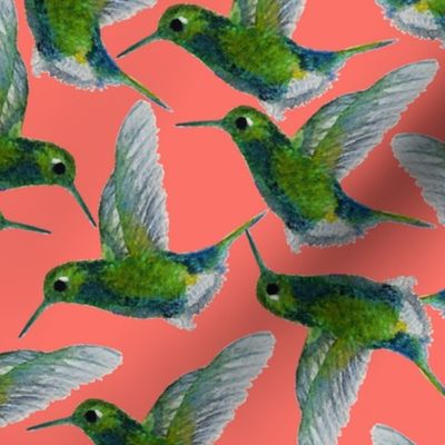 Watercolor Hummingbirds-Coral