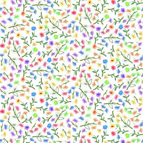 Rainbow Daisy Scatter on White