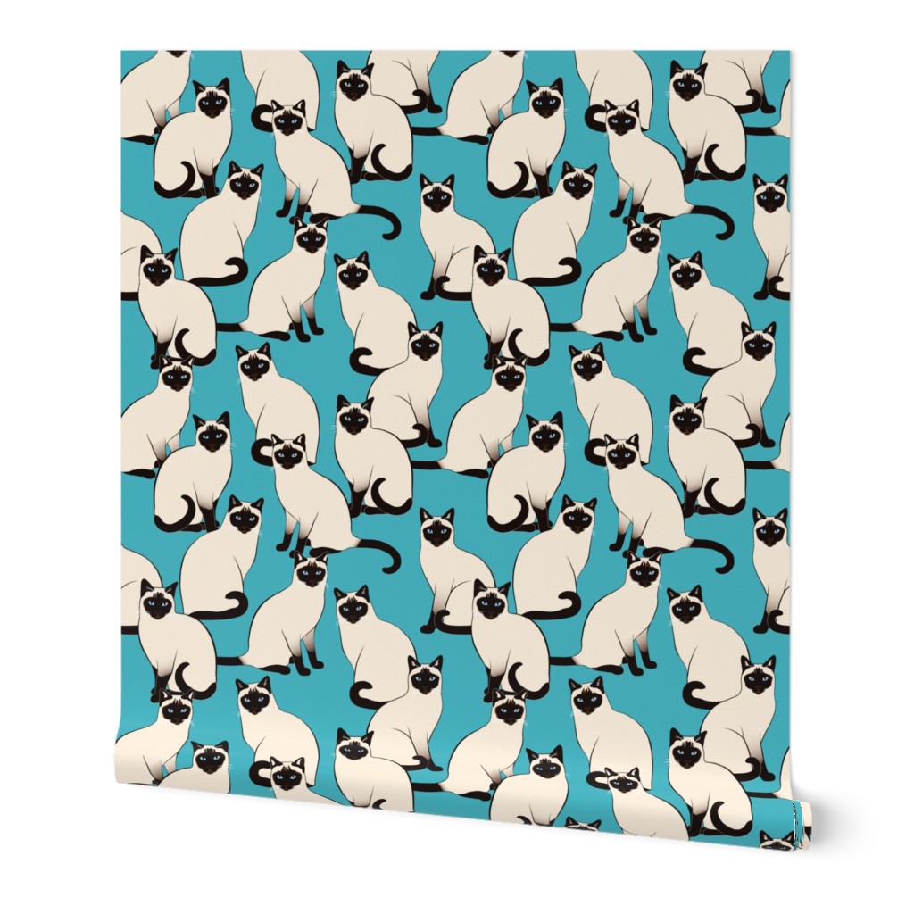 Siamese Cats on Turquoise