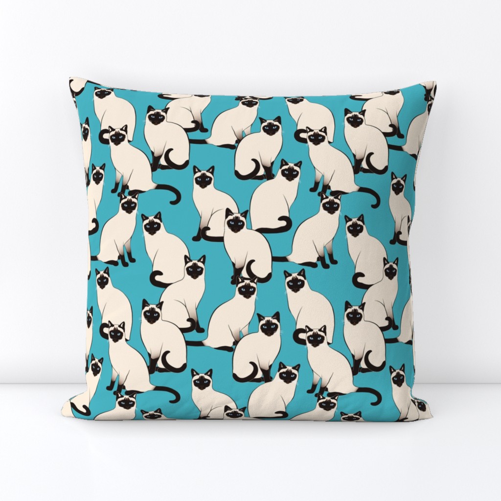 Siamese Cats on Turquoise