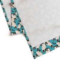 Siamese Cats on Turquoise