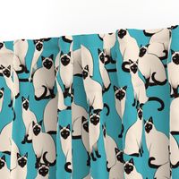 Siamese Cats on Turquoise