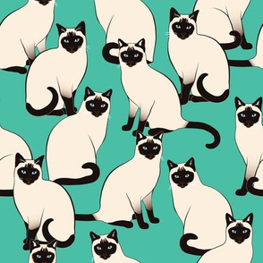 siamese cats wallpaper
