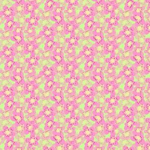 Pink Cherry Blossoms on Bright Lime Green