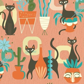 modern cats and plants in coral