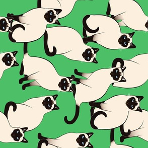 Siamese Cats on Green