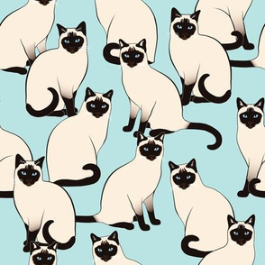 Siamese Cats on Light Blue