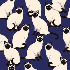 Siamese Cats Crowd at Night