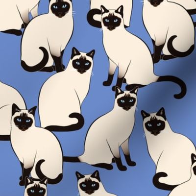 Siamese Cats on Ultramarine