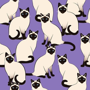 Siamese Cats on Violet