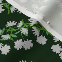 White Daisy Wreaths on Darkest Green