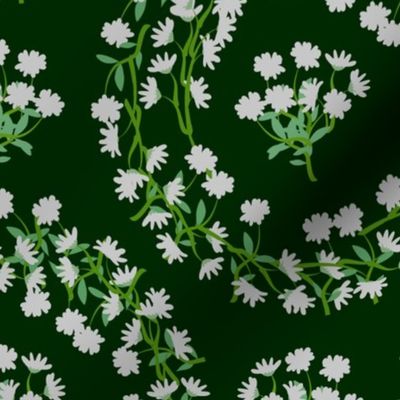 White Daisy Wreaths on Darkest Green