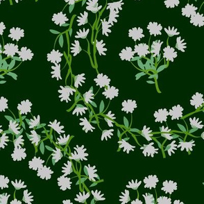 White Daisy Wreaths on Darkest Green