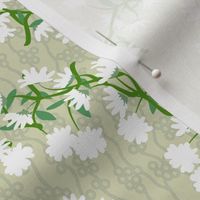 White Daisy Wreaths on Light Green with Bubble and Vine