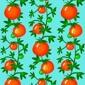 Vine Ripe  -Tomatoes 