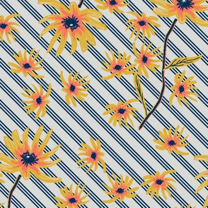 Blanket flower stripes D a