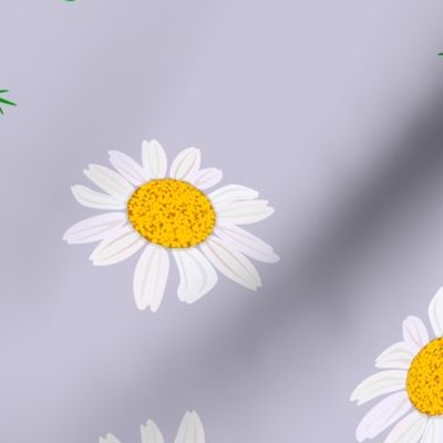 chamomile pattern