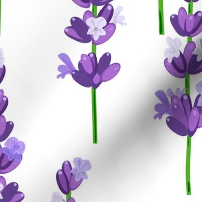 lavender pattern