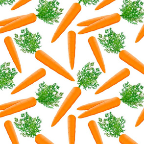 carrot pattern