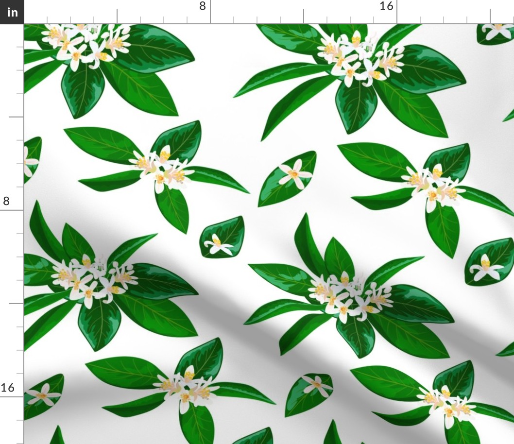 neroli  pattern