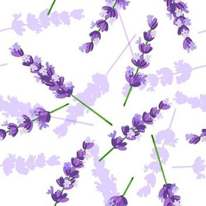 lavender pattern