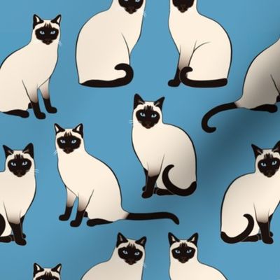 Siamese Cats sparse on blue