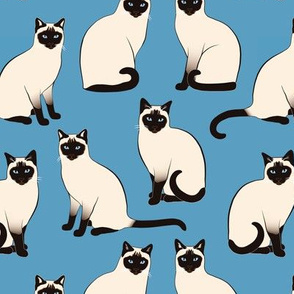 Siamese Cats sparse on blue