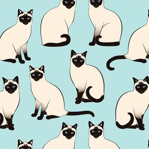 Siamese Cats sparse on light blue