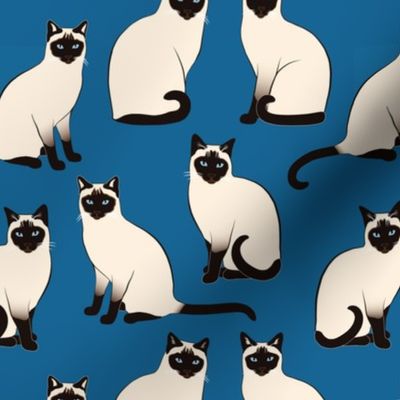 Siamese Cats sparse on dark blue