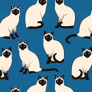 Siamese Cats sparse on dark blue