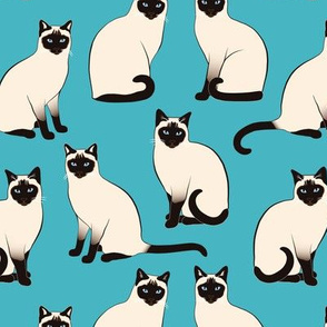 Siamese Cats sparse on turquoise