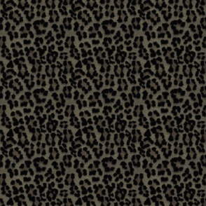 black leopard