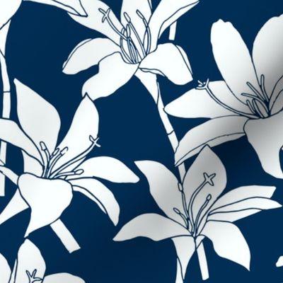 Amaryllis Floral Line Drawing, White on Midnight Blue