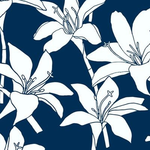 Amaryllis Floral Line Drawing, White on Midnight Blue