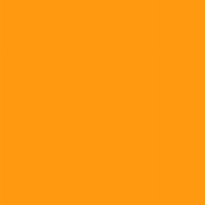 Solid Matching Orange
