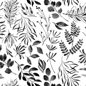 Watercolour leaves and foliage black on plain white background