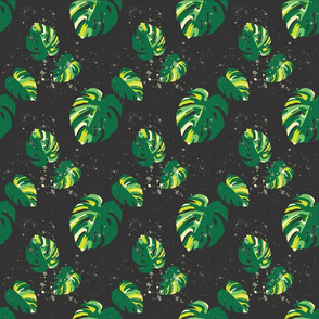 Monstera Multitude