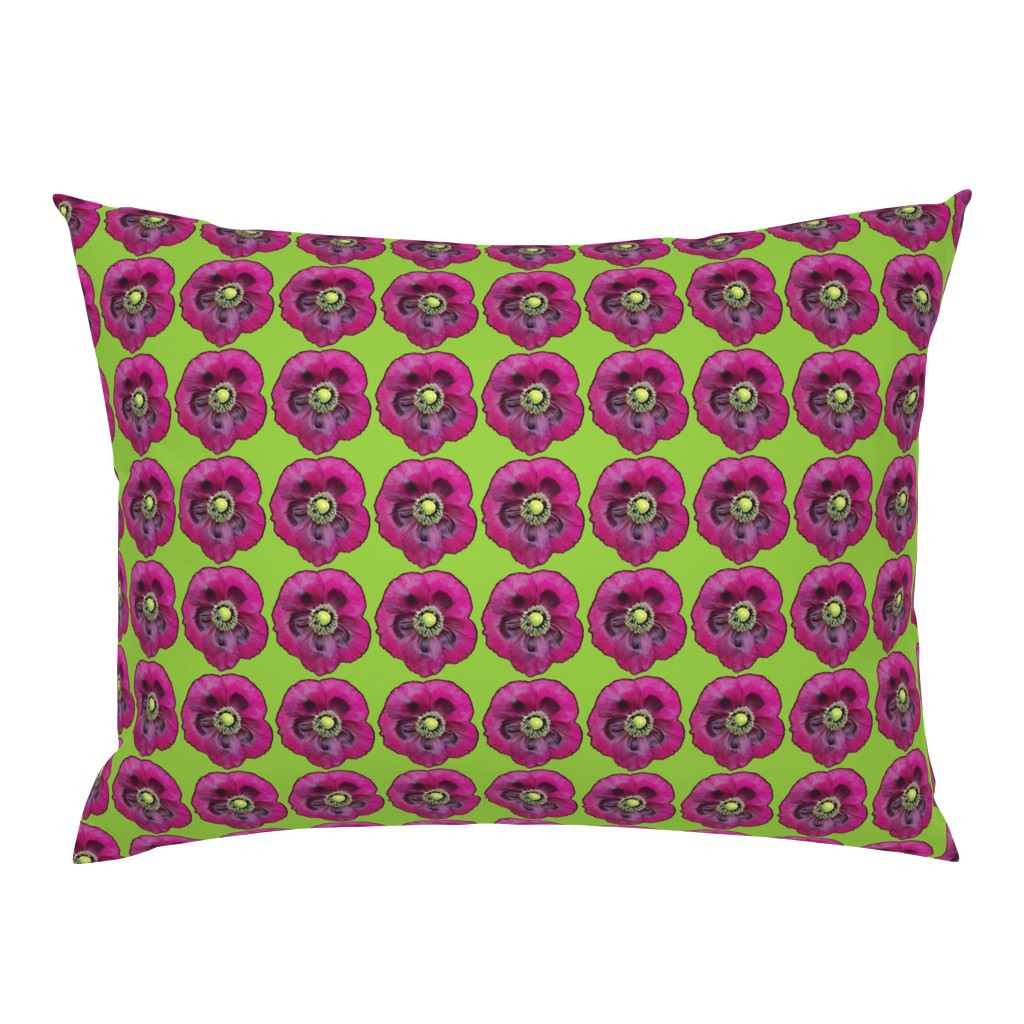 Purple Poppy on Lime Green Background