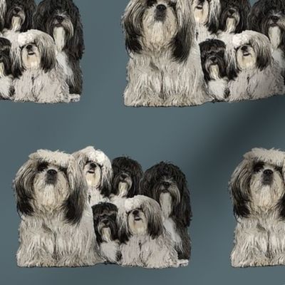 shiih Tzu grouping fabric