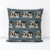 shiih Tzu grouping fabric