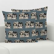 shiih Tzu grouping fabric