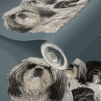 shiih Tzu grouping fabric