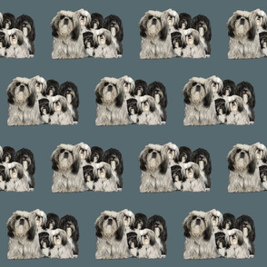 shiih Tzu grouping fabric