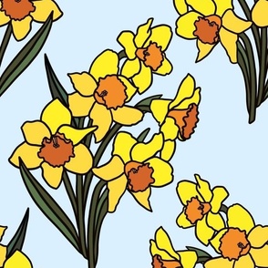 Daffodils on baby blue