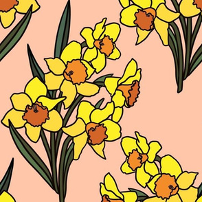 Daffodils on blush