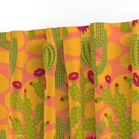 Spectacular Cacti