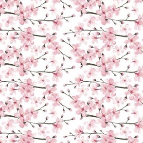 cherry blossom watercolor  // cherry blossom floral